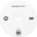 Gangland Vol 7